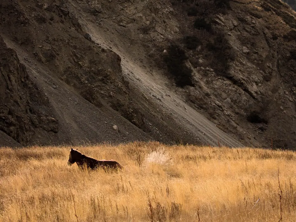 Naryn reserve