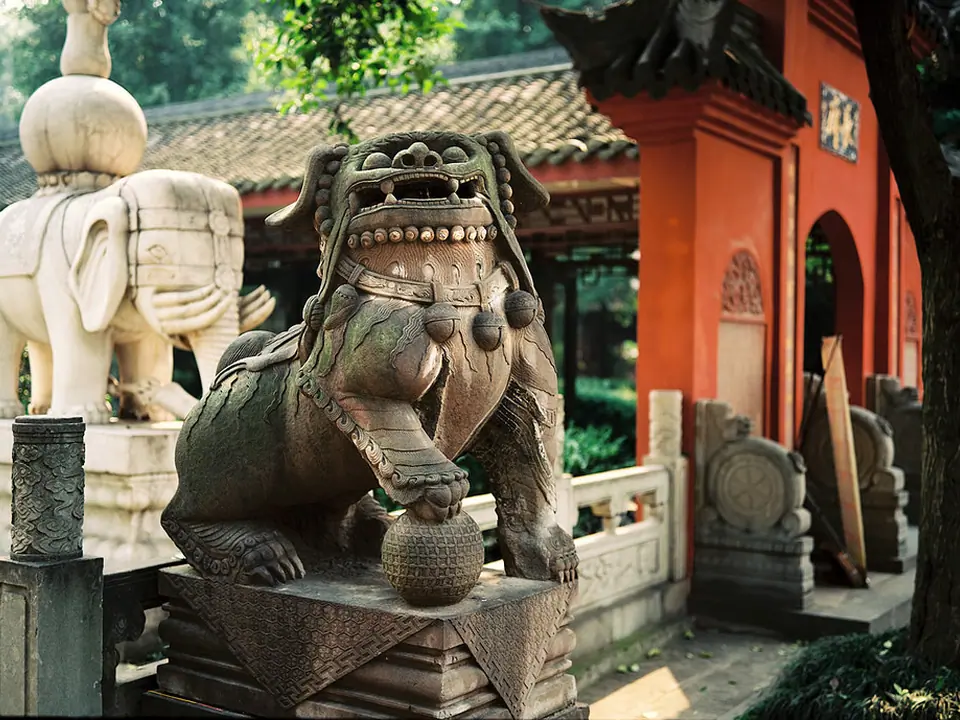 Wen Shu Yuan Fu Dog, Chengdu