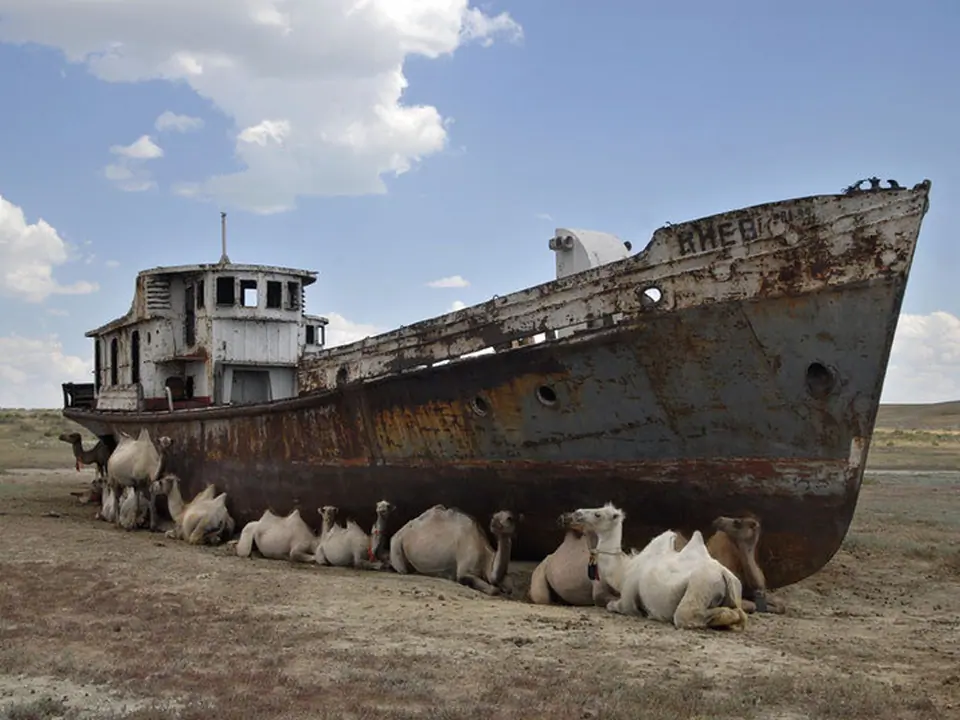 Aral sea shipwreck camels
