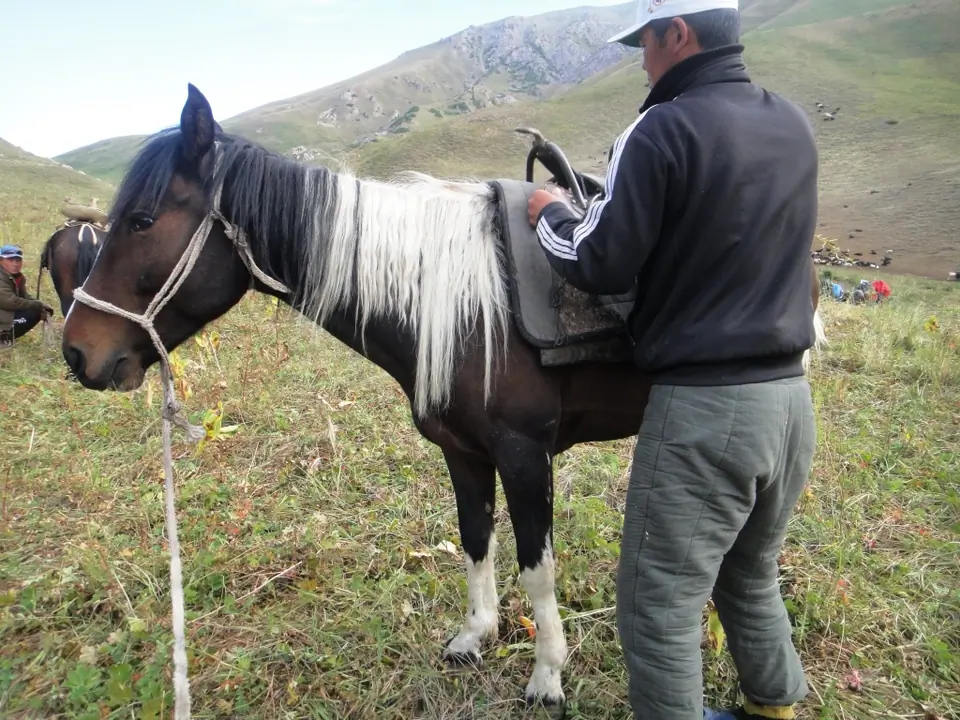 Arpa valley - Horseback riding