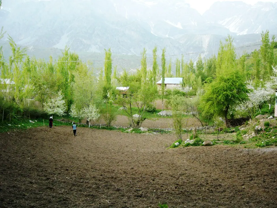 Agriculture in Arslanbob village