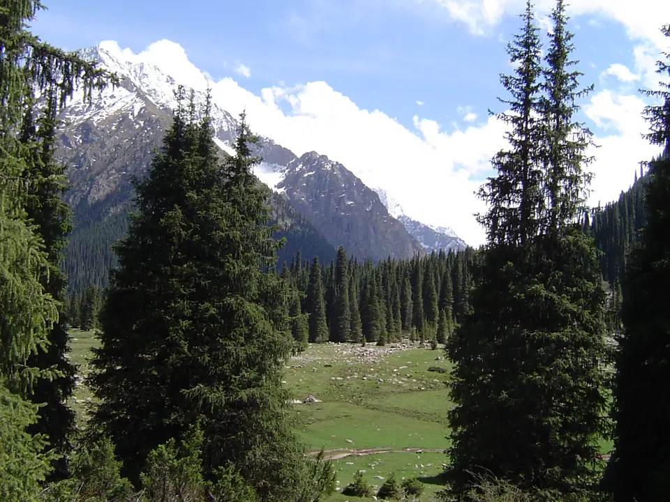Chong Kyzyl Suu valley