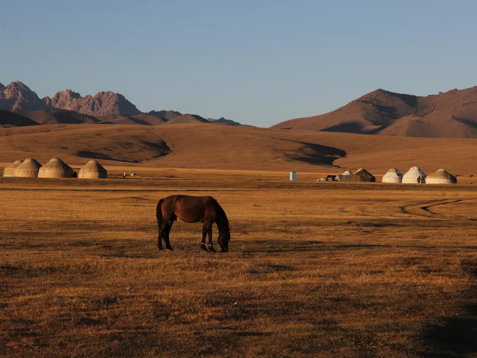 Yurt camp roza Son Kul