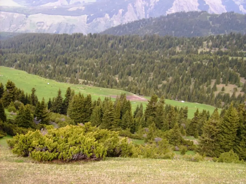 Karakol valley