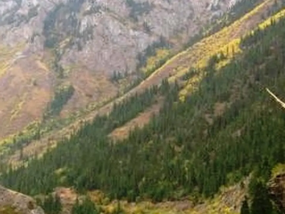The Jeli Suu river flows in the Kitchi Naryn river