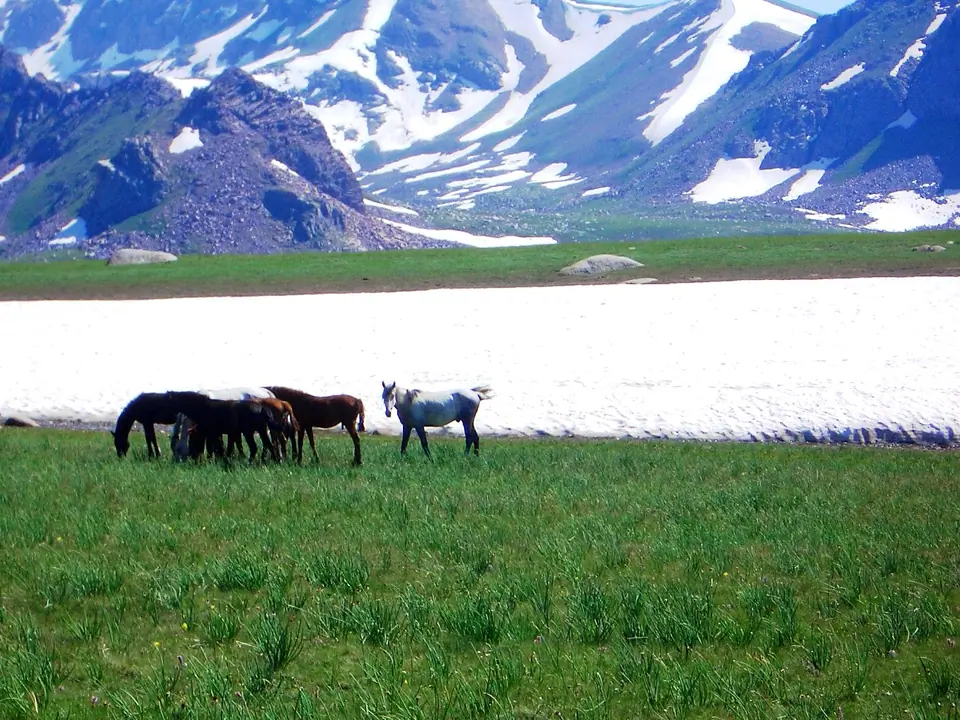Kyrk Kyz - Koebiuk pastures of Kyzyl Oy