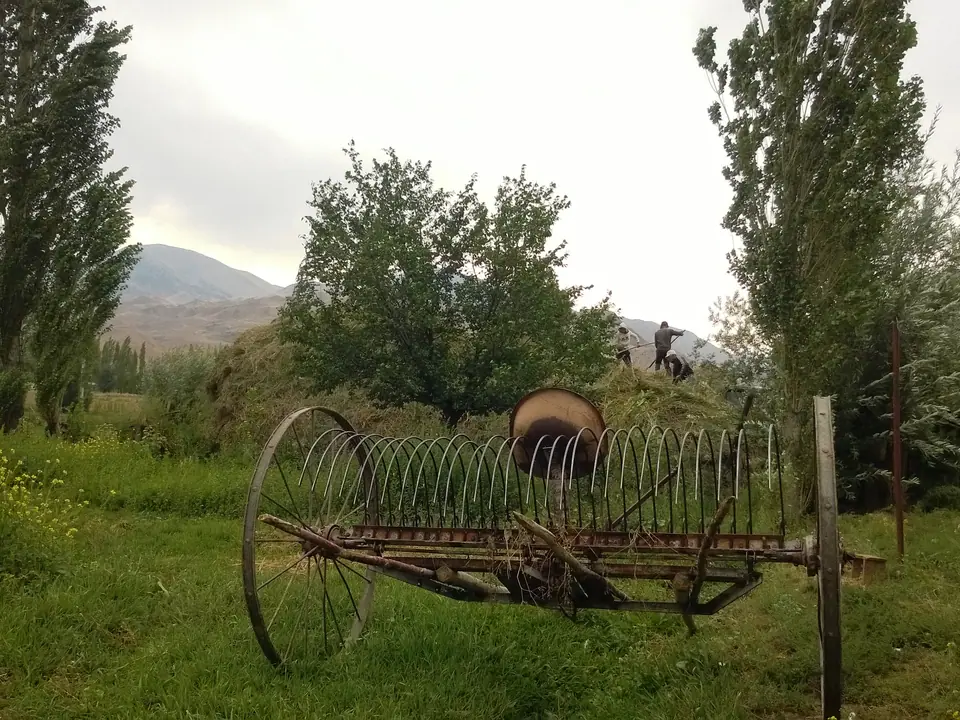 Kyzyl Oy