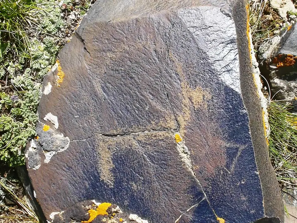 Petroglyph ibex