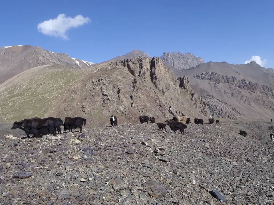 Sary-Mogol northern