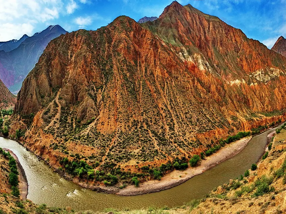 Sary Kamish