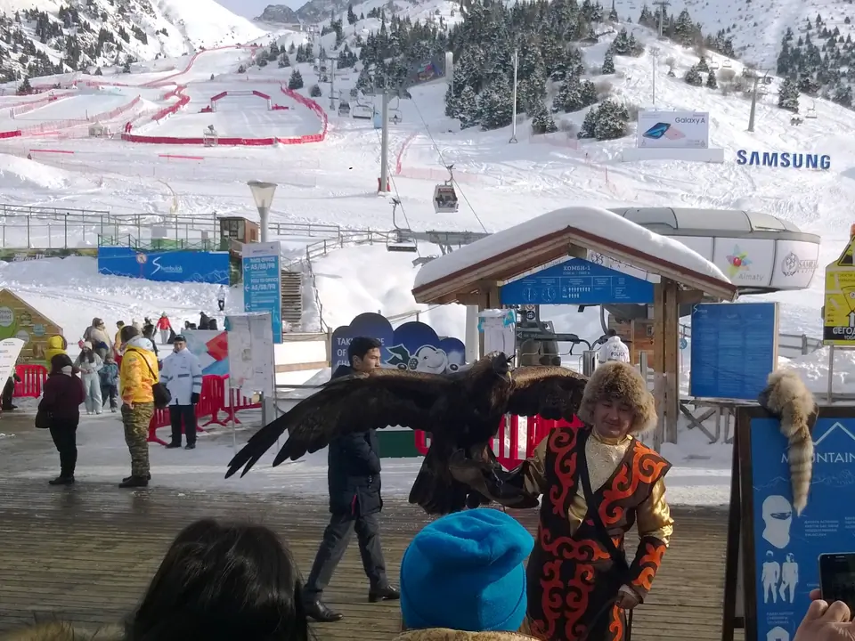 Falconer at Shimbulak