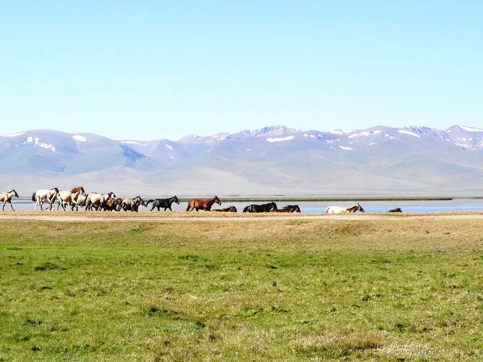 Song Kul's lake and range
