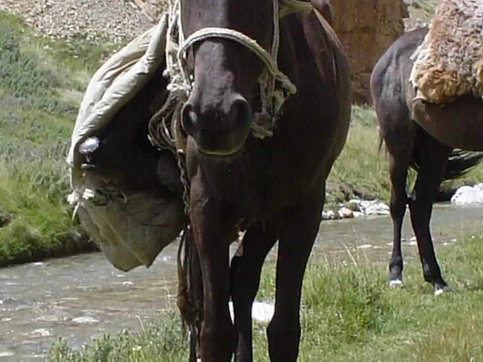 Toez canyon
