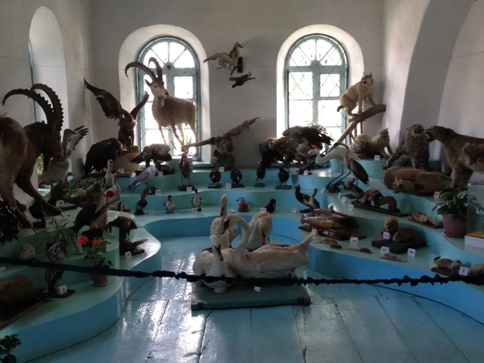 Karakol Museum