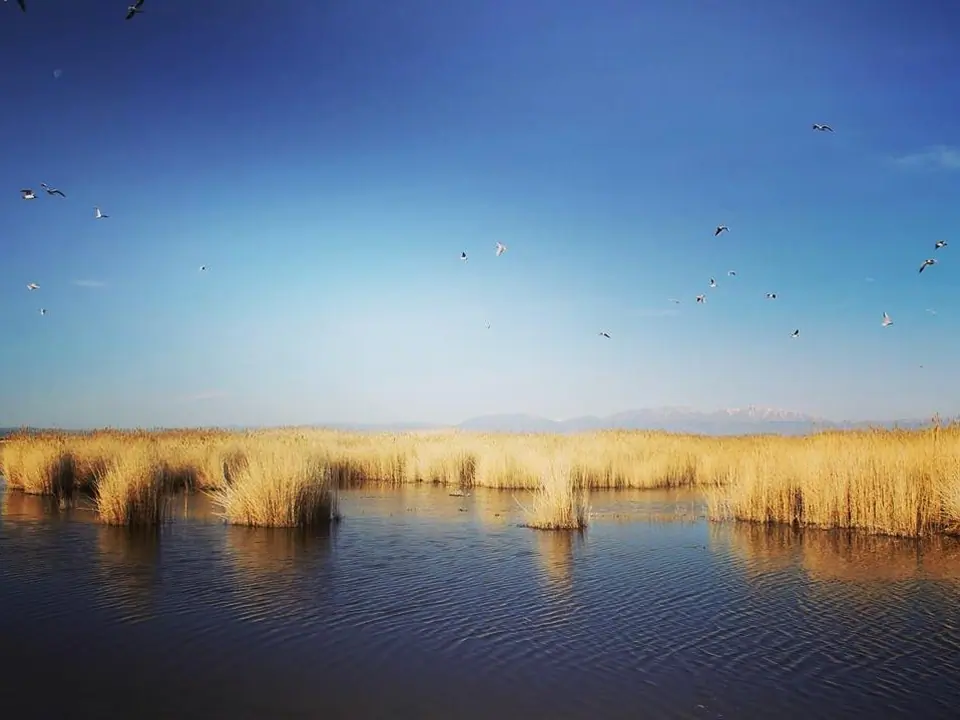 Uvs Lake