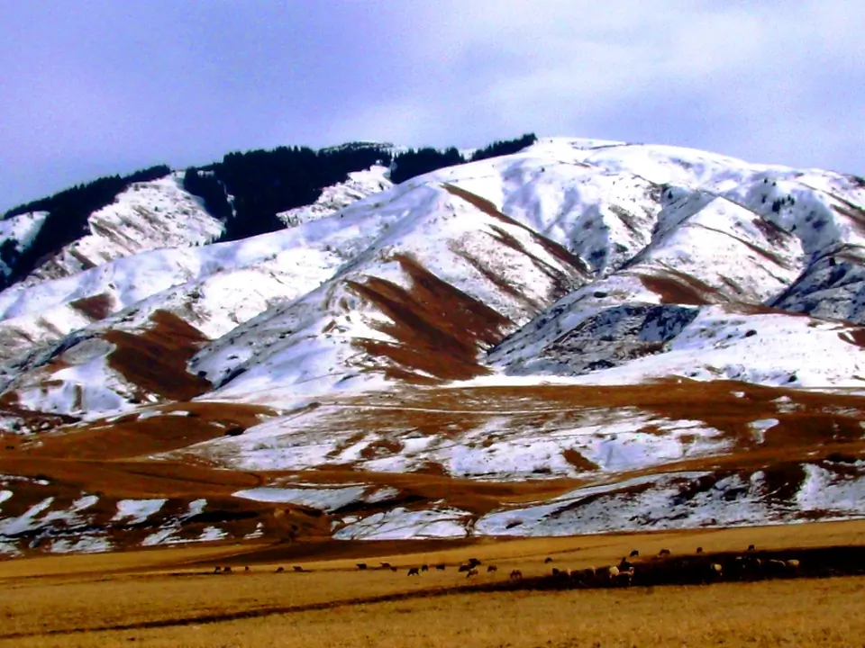 Chong Kemin winter