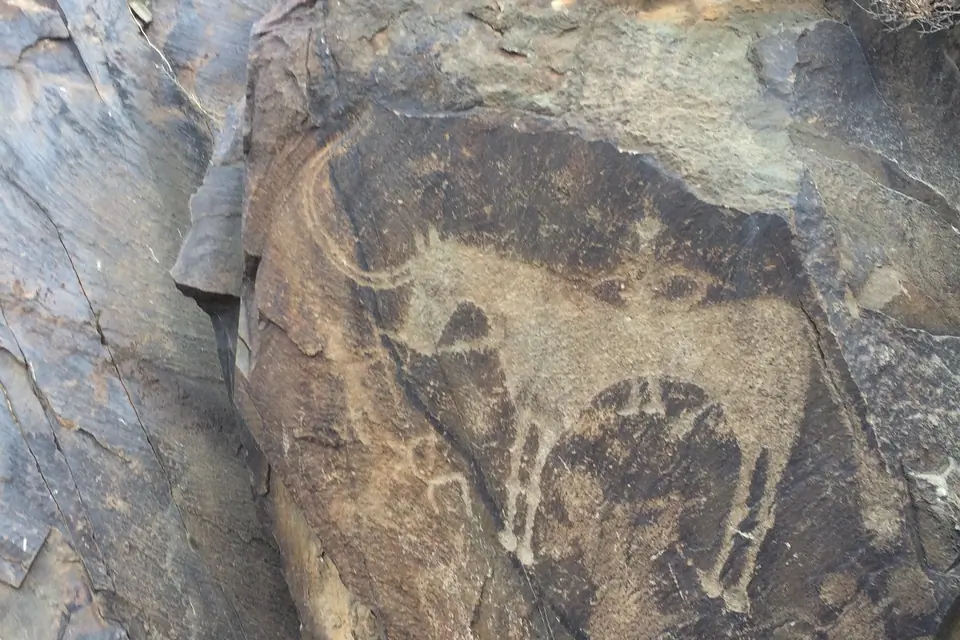 Man on horse
