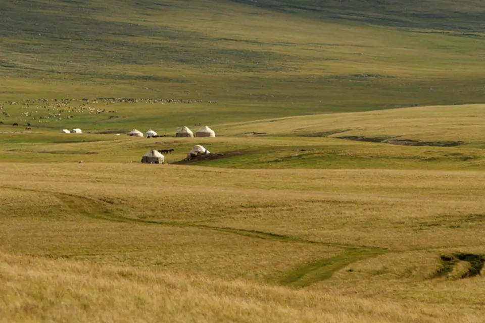 Pastures of Tash Doeboe on the shore of the Song Kul's lake