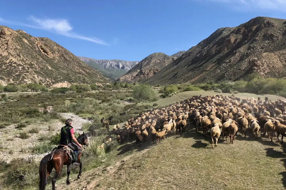 Naryn natural reserve South part