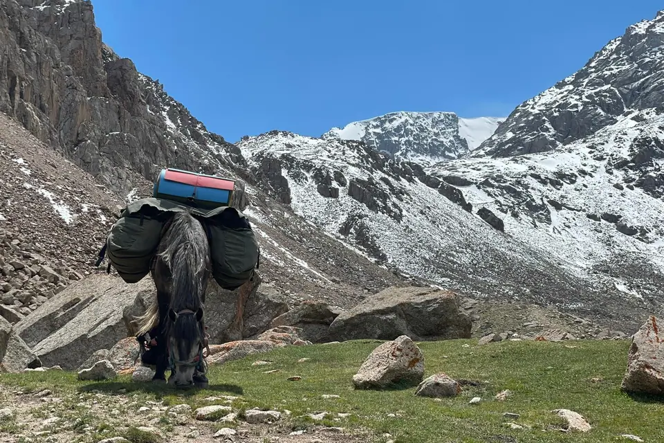 Horses porters just arrived at the Juku pass one of the main pass of the Silk Road 
