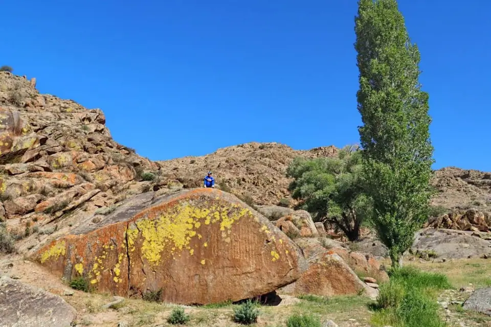 Chiyim-Tash petroglyph is located in Talas village