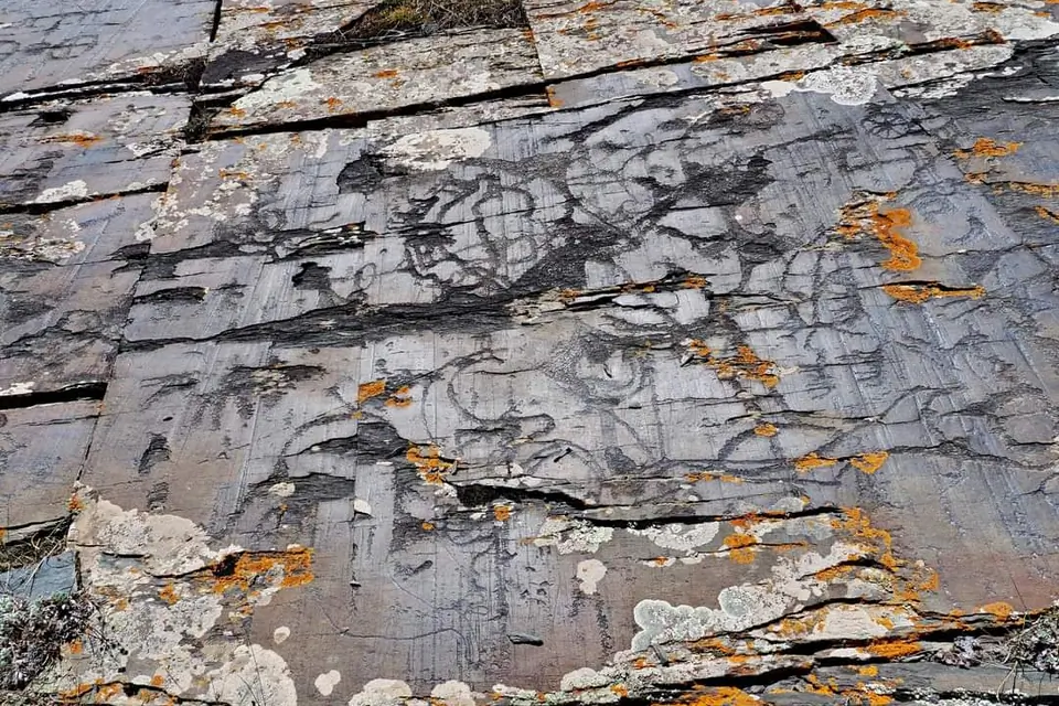 Zhaltyrak-Tash petroglyphs on stones