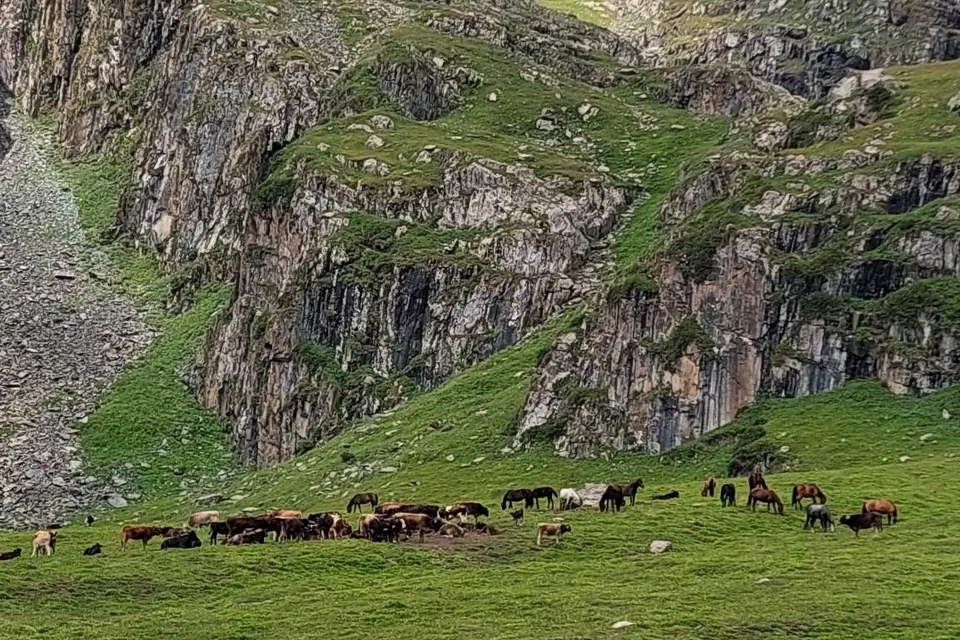 The green meadows of Asan Tukum gorge in the Jeti Oguz valley