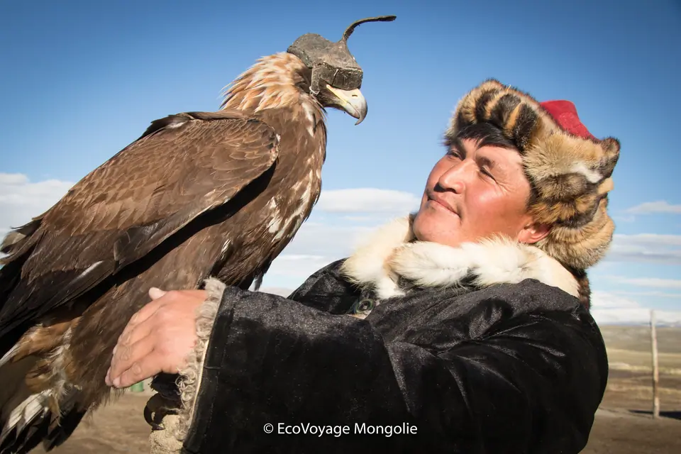 a Mongolian nomad holds his golden eagle in his hand