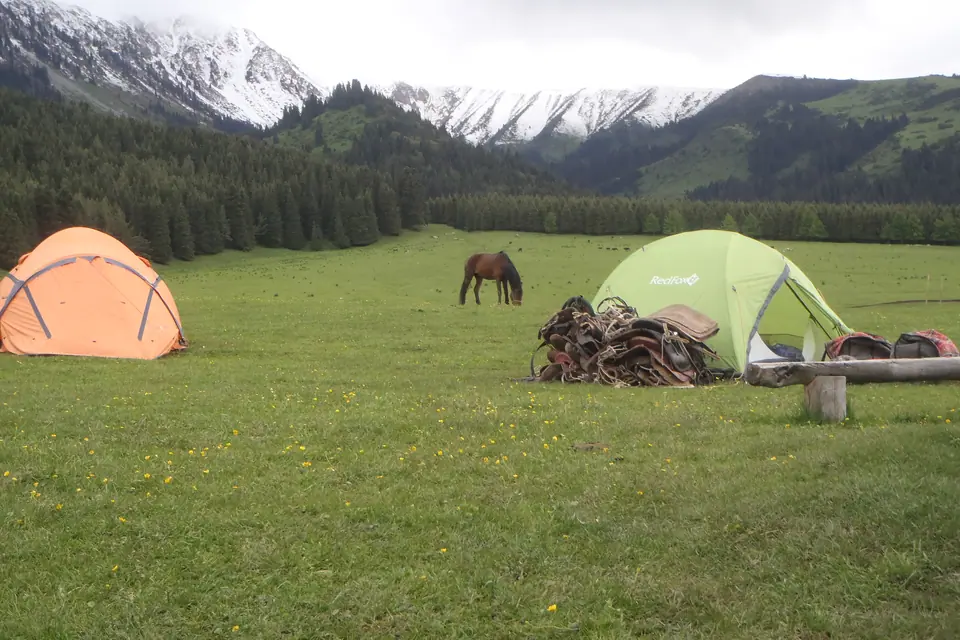 Two tents on the green meadows of Jeti Oguz valley bordered by fir tree forest and snowy peaks