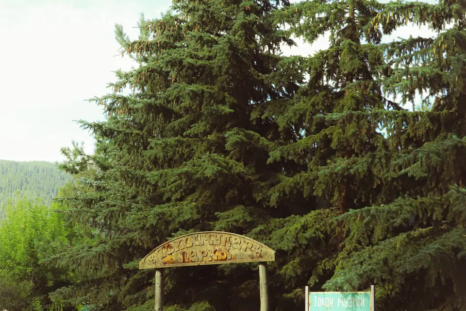 Museum of the Forest