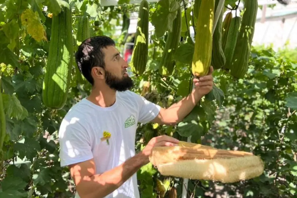 Eco ferma Fazenda