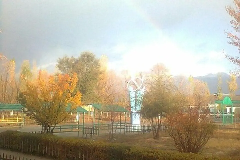 Осень за окном