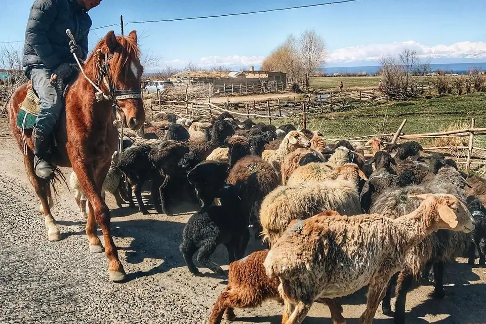 Barskoon village