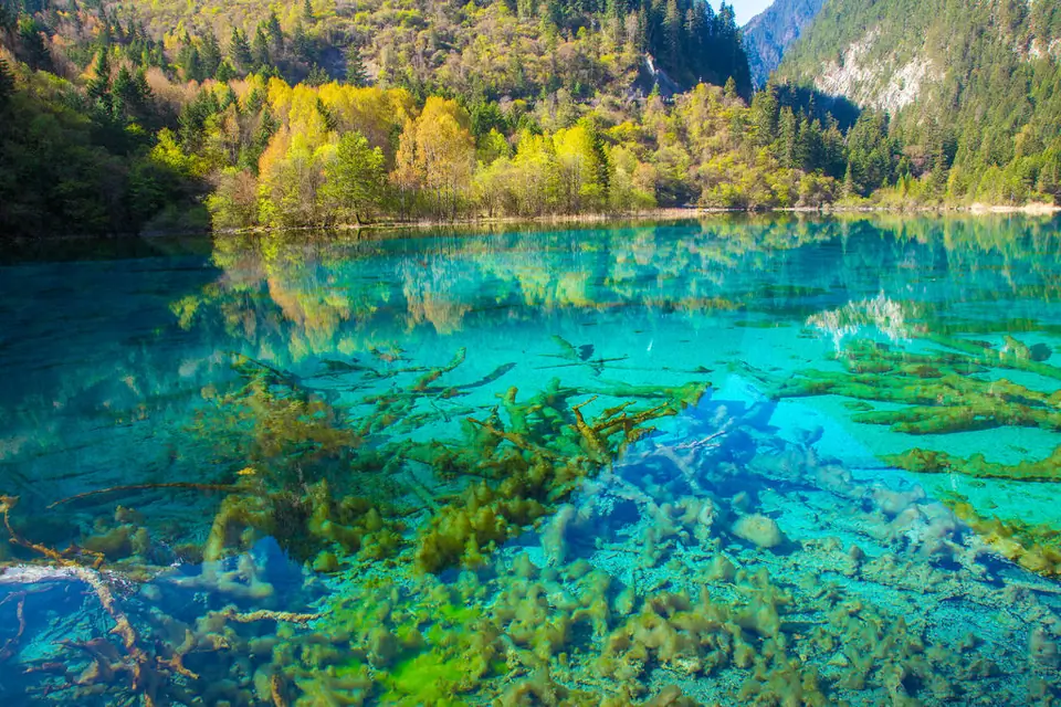 Five Flower Lake, Jiuzhaigou Valley