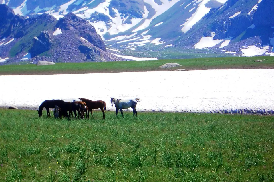 Kyrk Kyz - Koebiuk pastures of Kyzyl Oy