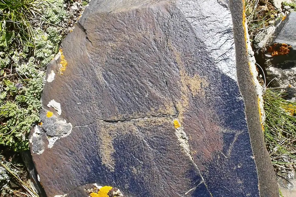 Petroglyph ibex