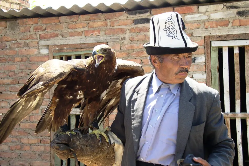 Sagimbay Bokonbaeva birds of prey