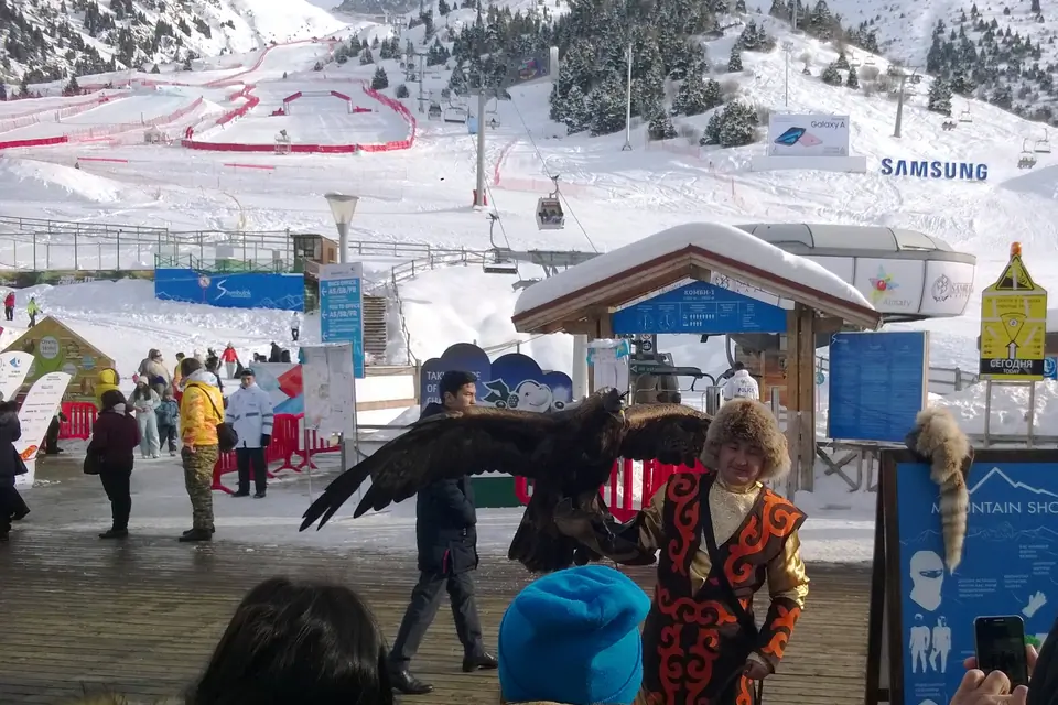 Falconer at Shimbulak