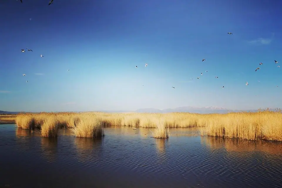 Uvs Lake