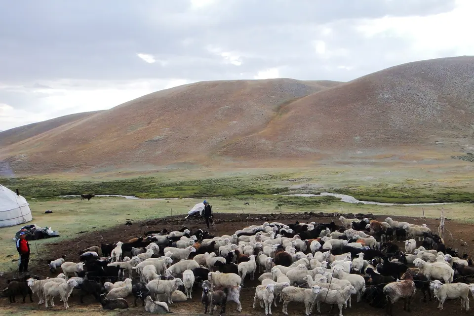 Yurt camp at Arpa valley