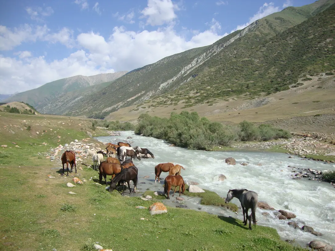Chong-Ak-Suu gorge