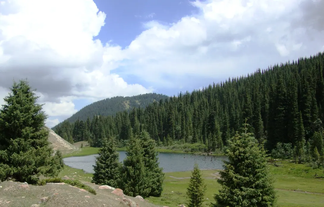 Chong-Ak-Suu gorge