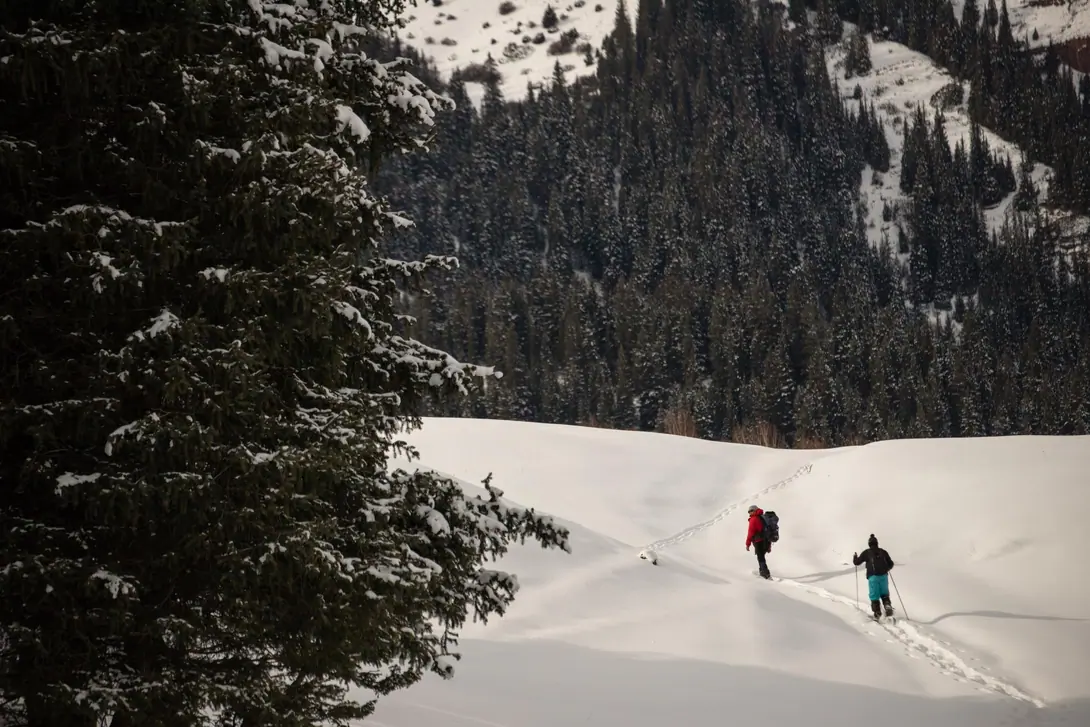 Snowshoeing adventure