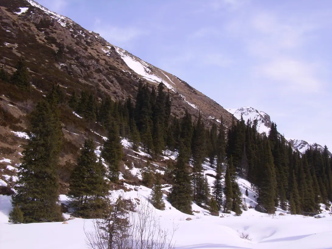 Discover the Chong Kyzyl Suu valley in winter