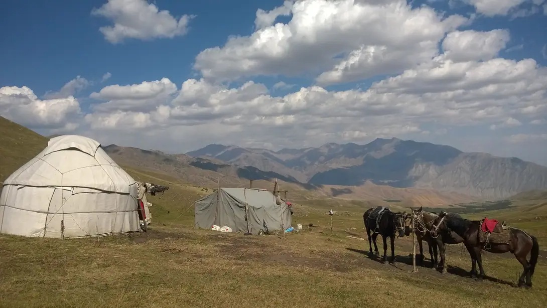 Yurt camp at jailoo Chong Suu, with horses, pasture of Kyzyl Oy village, 