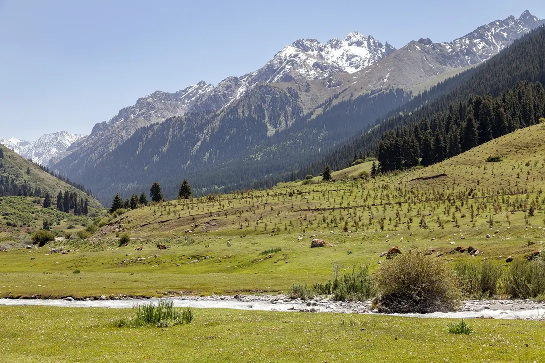 Ak-Tash site in Chong Kyzyl Suu valley