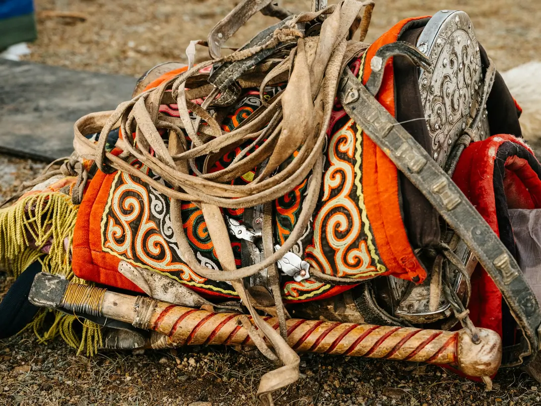 Saddlebag