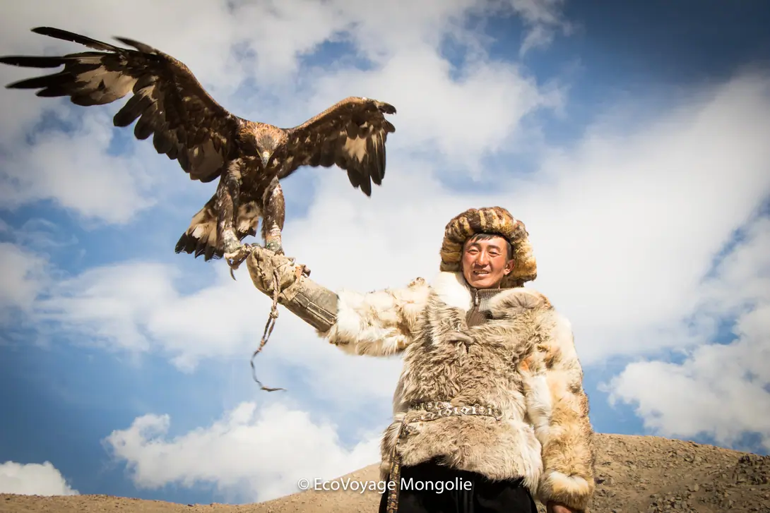 a Mongolian nomad holds his golden eagle in his hand