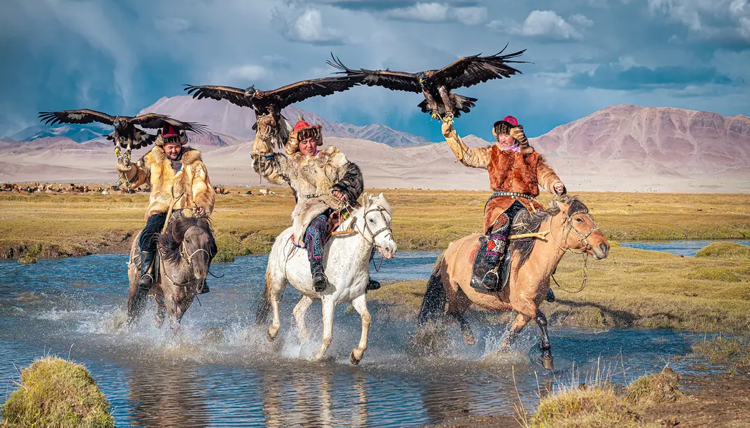 Mongolian nomads holds his golden eagle in his hand while horseriding accross a river