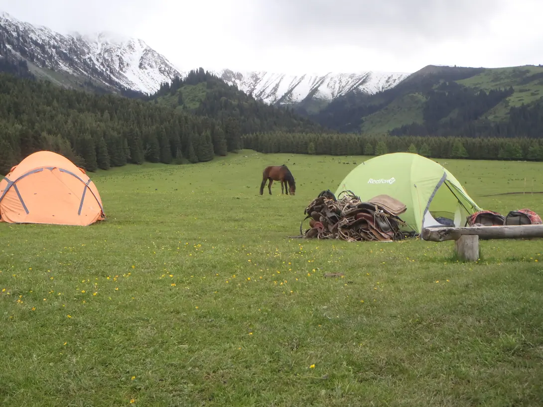 Two tents on the green meadows of Jeti Oguz valley bordered by fir tree forest and snowy peaks